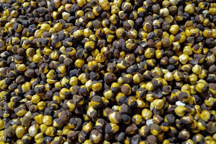 Roasted Black Chickpeas